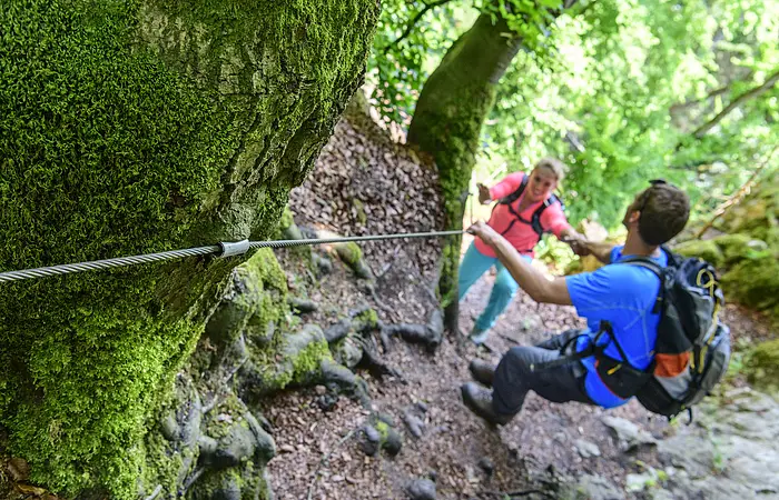 Zwei Wanderer sichern sich mit Seil an einem moosbewachsenen Baum im Wald beim Klettern.