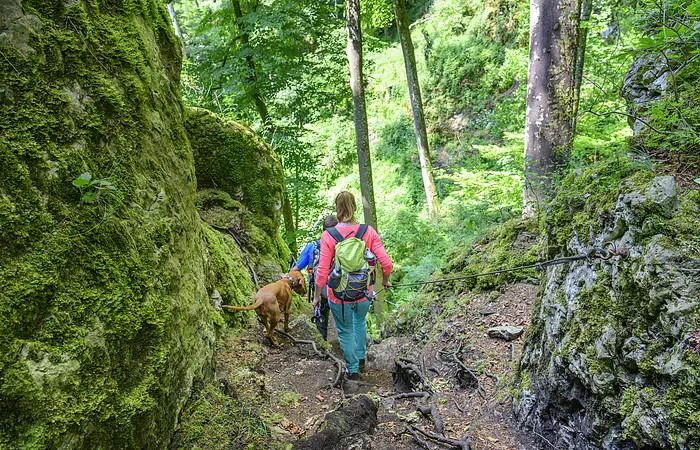 Zwei Wanderer mit Hund gehen auf einem Waldpfad zwischen moosbedeckten Felsen bergab, einer hält ein Seil.