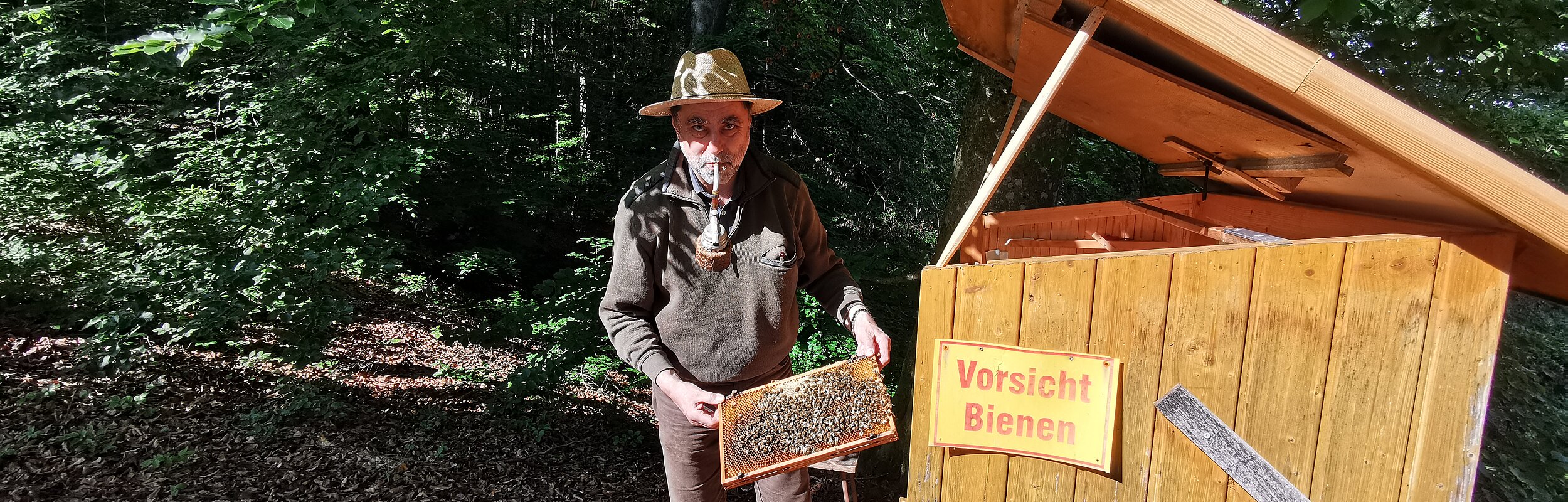 Kipfenberger Bienenstand der Bayerischen Staatsforsten