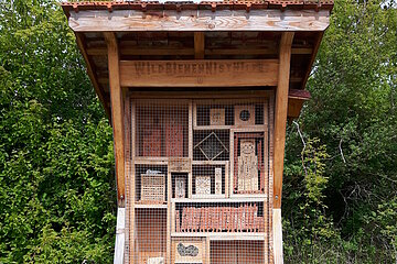 Wildbienennisthilfe am Lehrbienenstand Monheim