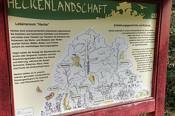 Natur-Erlebnis-Pfad am Nagelberg - Heckentafel